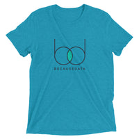 BecauseData fancy tri-blend t-shirt