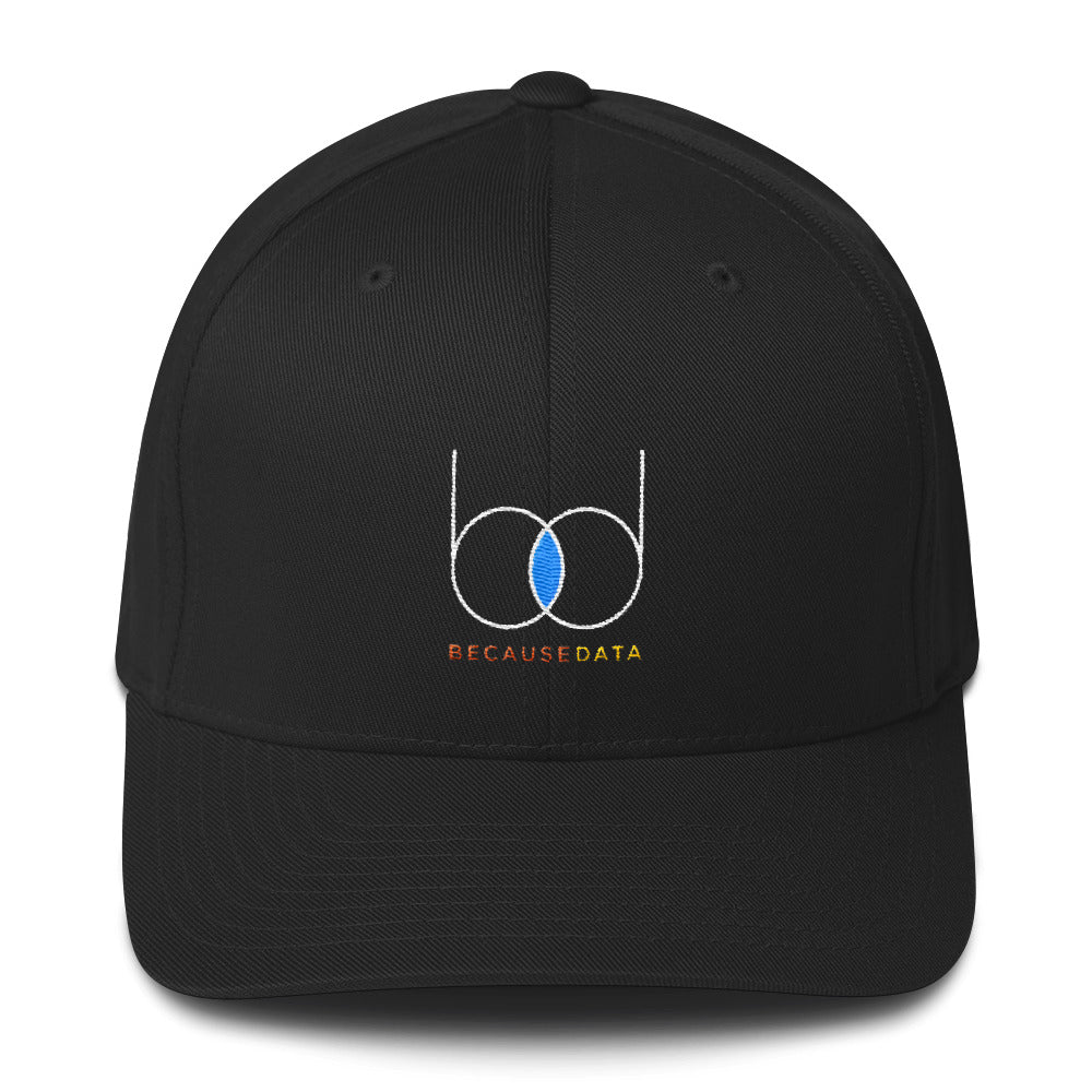 becausedata Fitted Hat