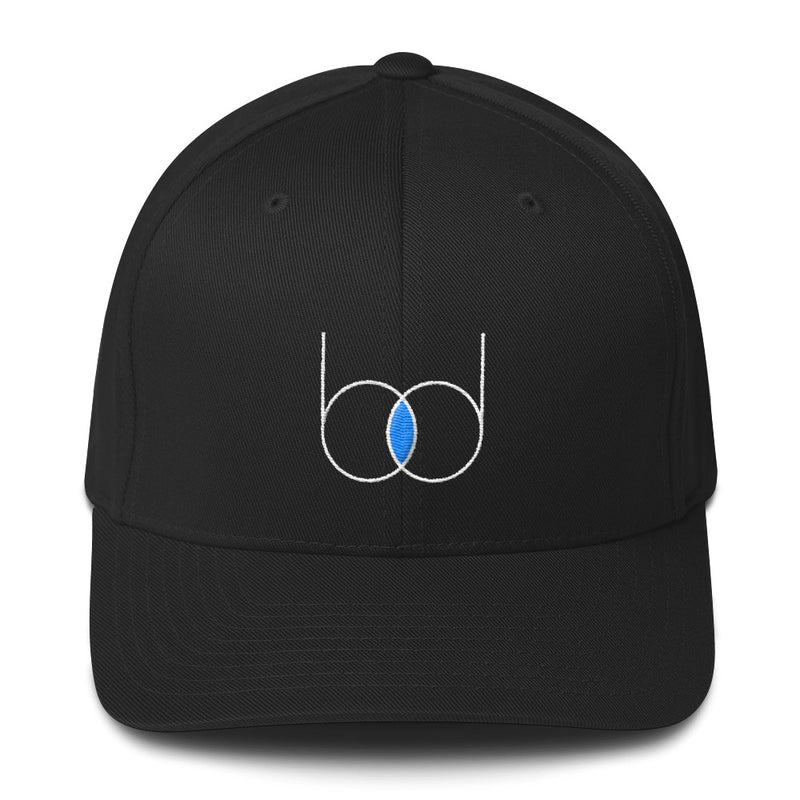 becausedata Logo Fitted Hat