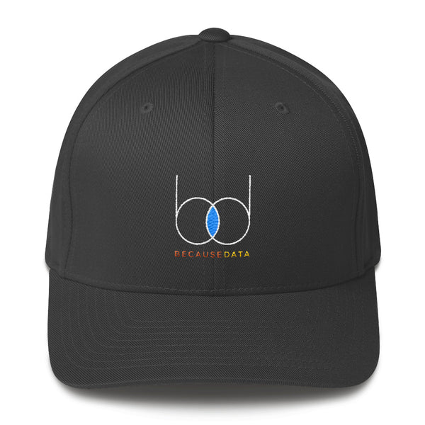 becausedata Fitted Hat